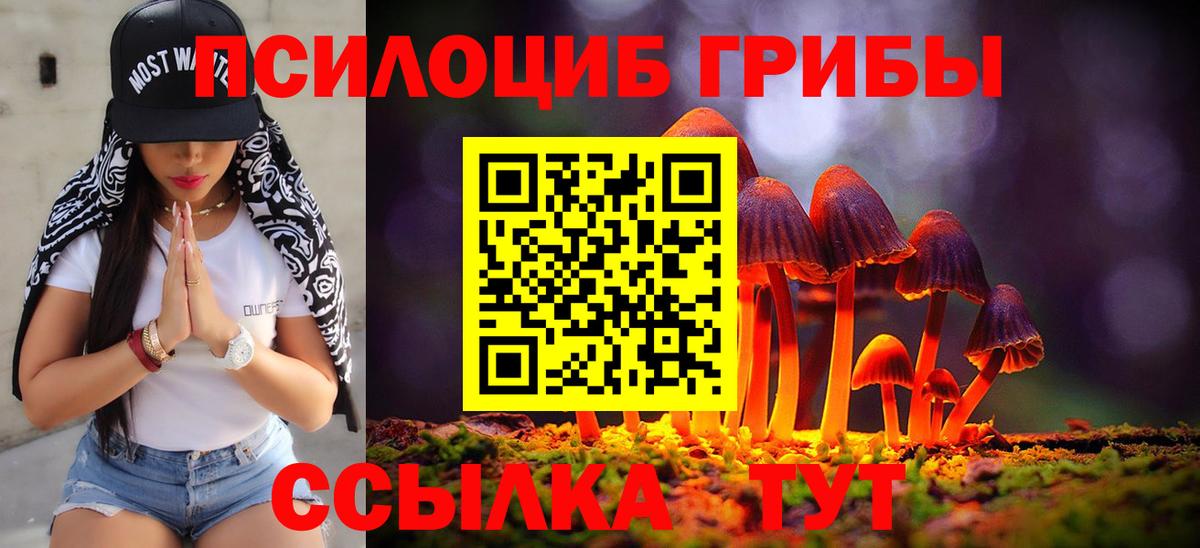 Чернушка  Псилоцибиновые грибы GOLDEN TEACHER  Псилоцибиновые грибы мухоморы  Вход с VPN 